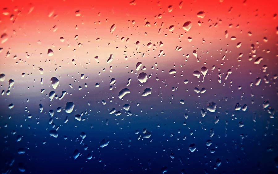 Best 4k Uhd Water Droplets Wallpaper