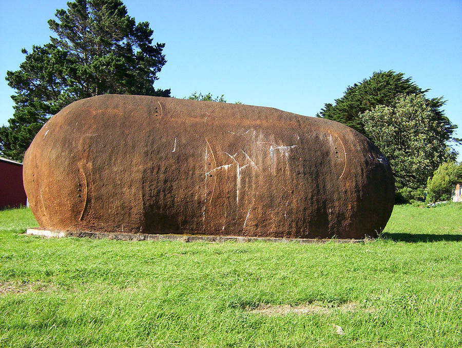 Big Potato Wallpaper