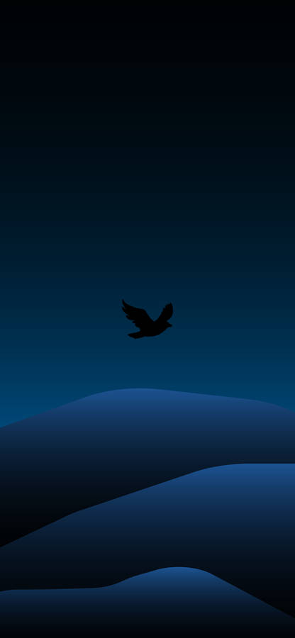 Bird Flying Minimal Dark Iphone Wallpaper