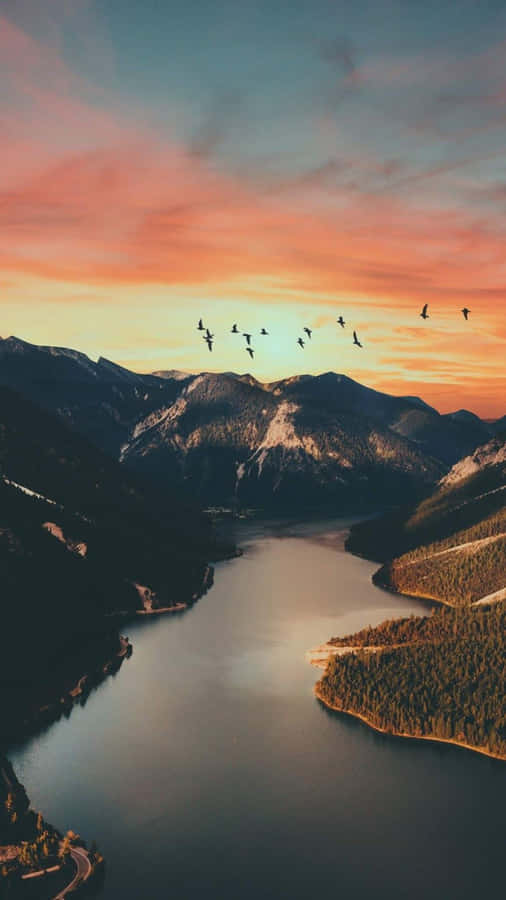 Bird Silhouette On Mountains Sunset Wallpaper