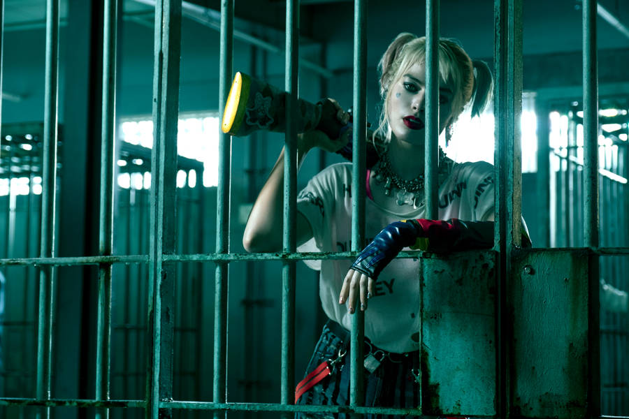 Birds Of Prey Harley On Jail Wallpaper