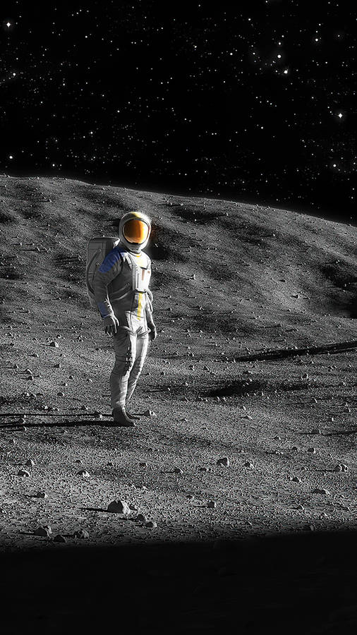 Black And White Astronaut Moon Land Portrait Wallpaper