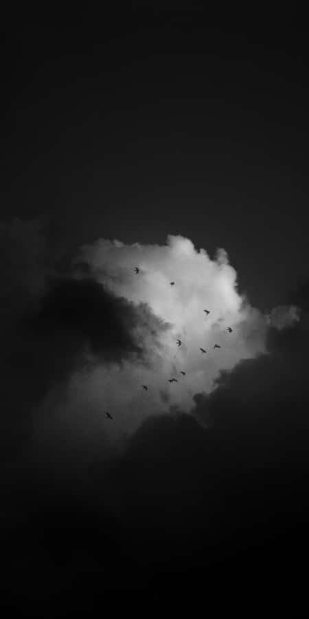 Black And White Cloud Flying Birds Wallpaper