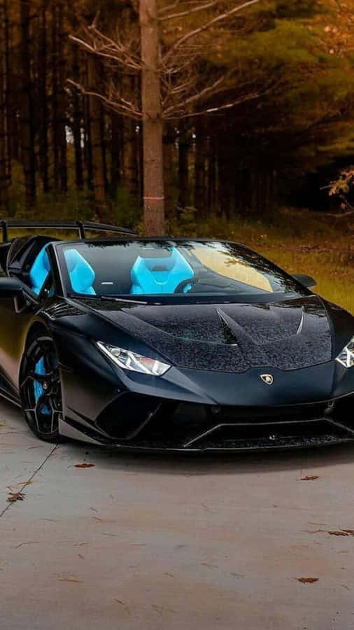 Black Blue Neon Lamborghini Forest Road.jpg Wallpaper