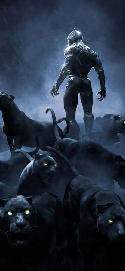 Black Panther, The Marvel Super Hero Wallpaper