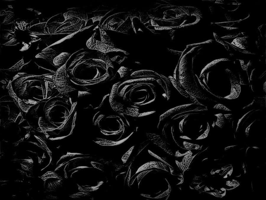 Black Rose Bouquet Aesthetic Wallpaper