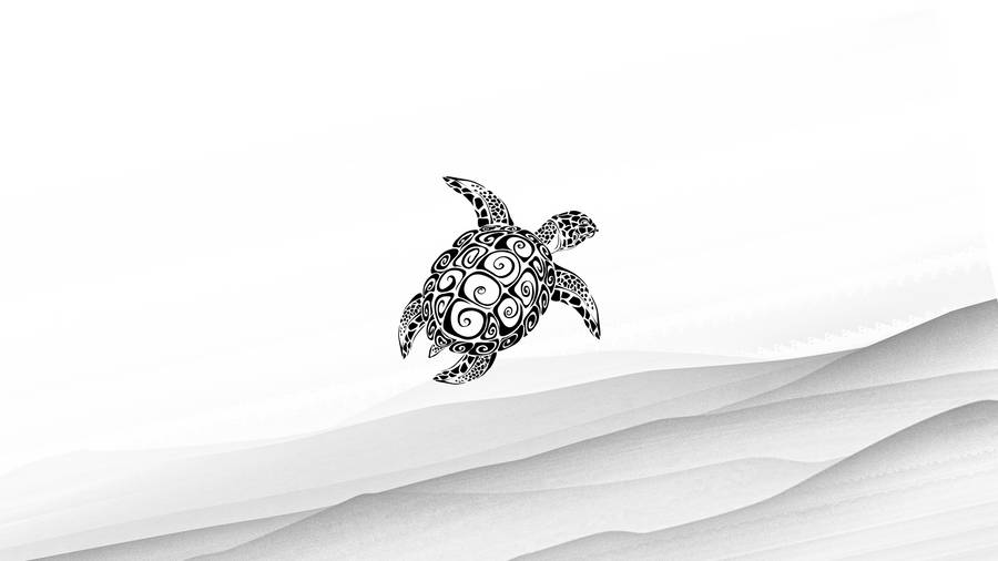 Black Turtle Illustration Wallpaper