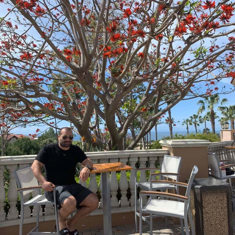 Blagoy Ivanov Relaxing On Balcony Wallpaper
