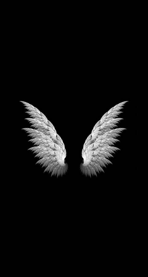 Blank And White Angel Wings Wallpaper
