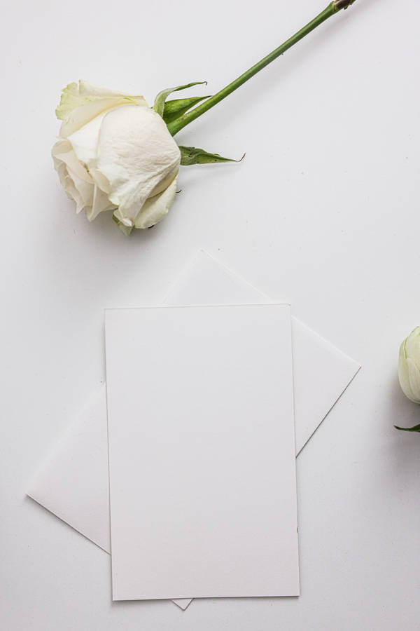 Blank Cards And Rose Wallpaper