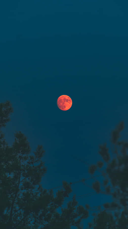 Blood Moon Photography Wallpaper