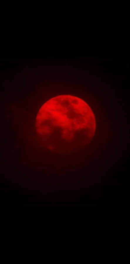 Blood Moon Portrait Wallpaper