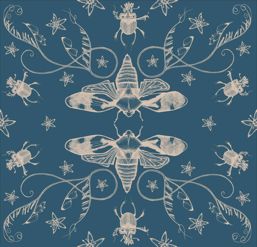 Blue Aesthetic Cicada Wallpaper