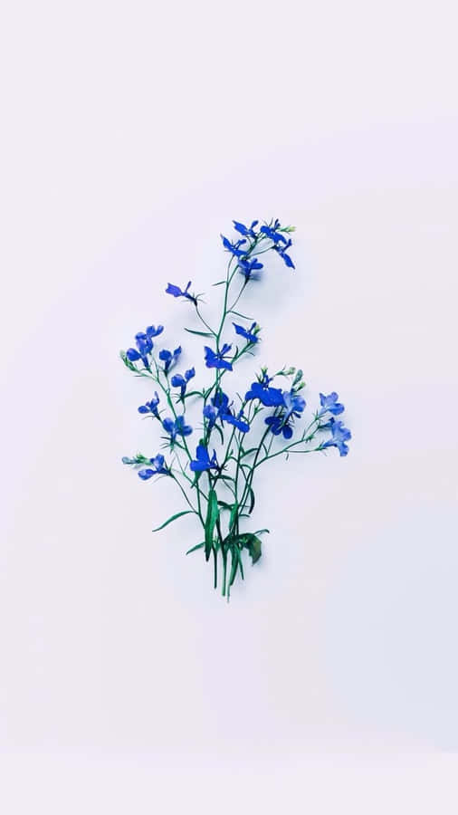 Blue Flowers Tied Up Aesthetic Wallpaper