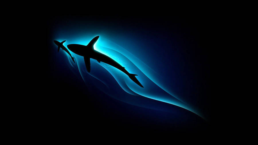 Blue Illuminating Sharks Silhouette Wallpaper