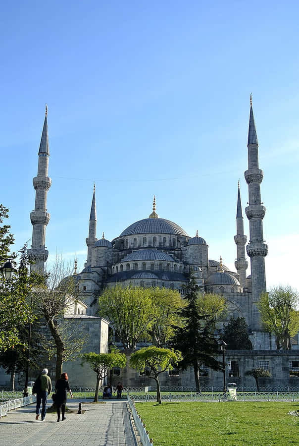 Blue Mosque Facade In Blue Sky Wallpaper