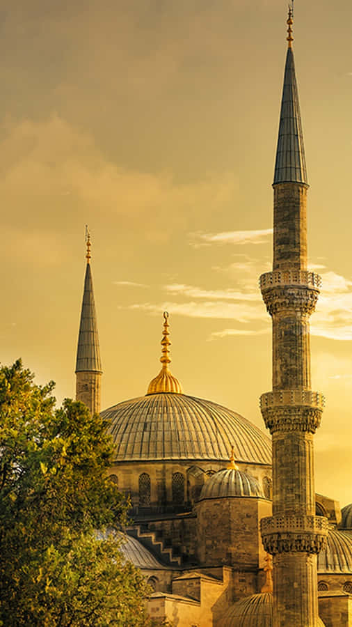 Blue Mosque Golden Hours Portrait Wallpaper