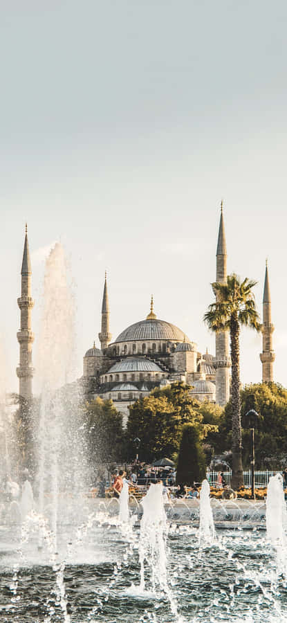 Blue Mosque Water Fountain Portrait Wallpaper