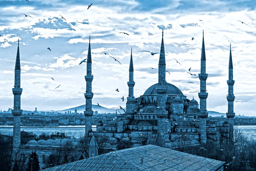 Blue Mosque With Birds Flying Wallpaper