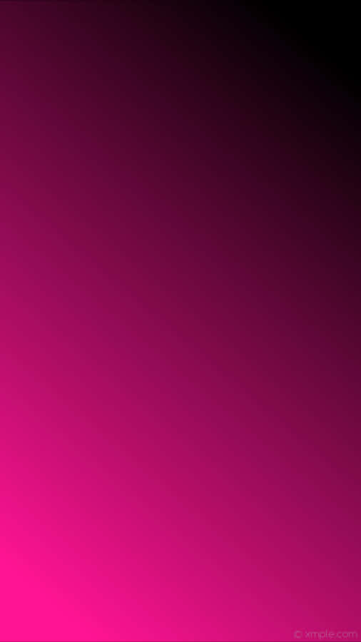 Bold Color Combination – Pink And Black Wallpaper