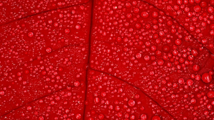 Bold Red 1920x1080 Wallpaper Wallpaper