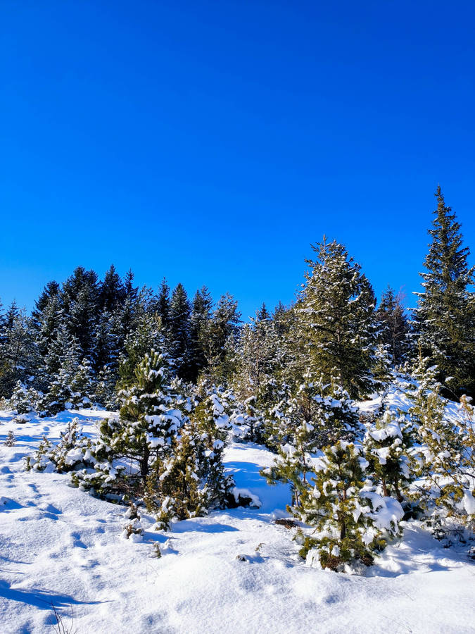 Bosnia And Herzegovina Trebević Mountain Range Wallpaper