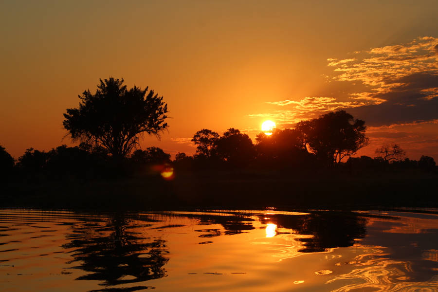 Botswana Sunset Trees Wallpaper