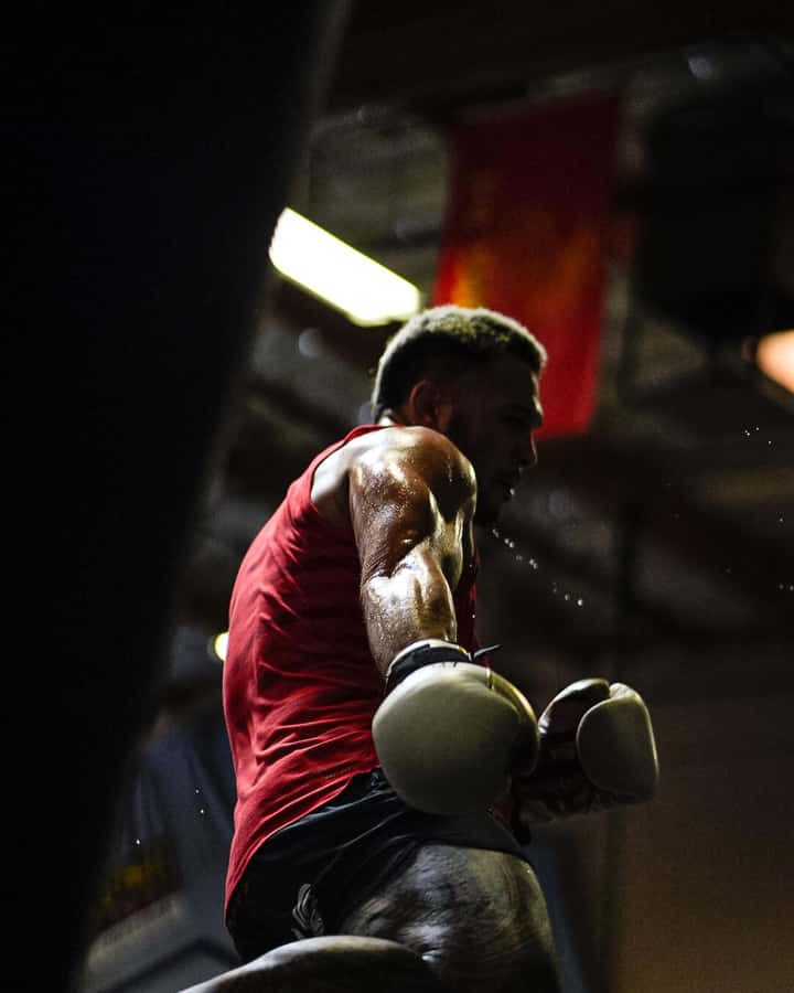 Brad Tavares Wearing Boxing Gloves Wallpaper