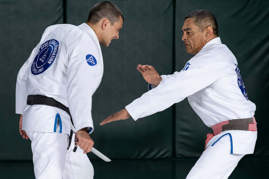Brazilian Jiu Jitsu Masters Sparring Wallpaper