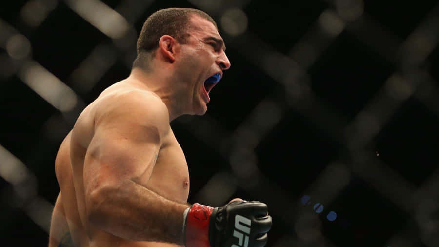 Brazilian Light Heavyweight Champion Mauricio Rua Wallpaper