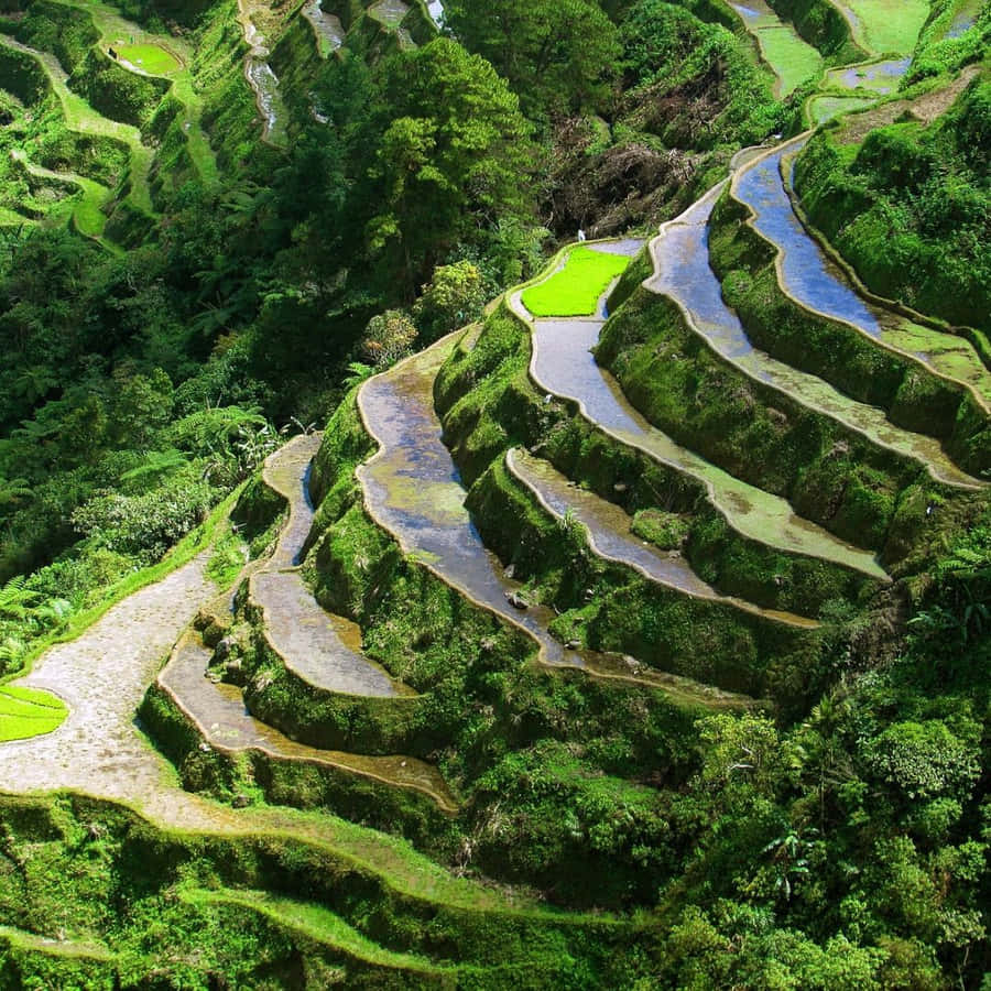 Breathtaking View Of Banaue Rice Terraces Wallpaper