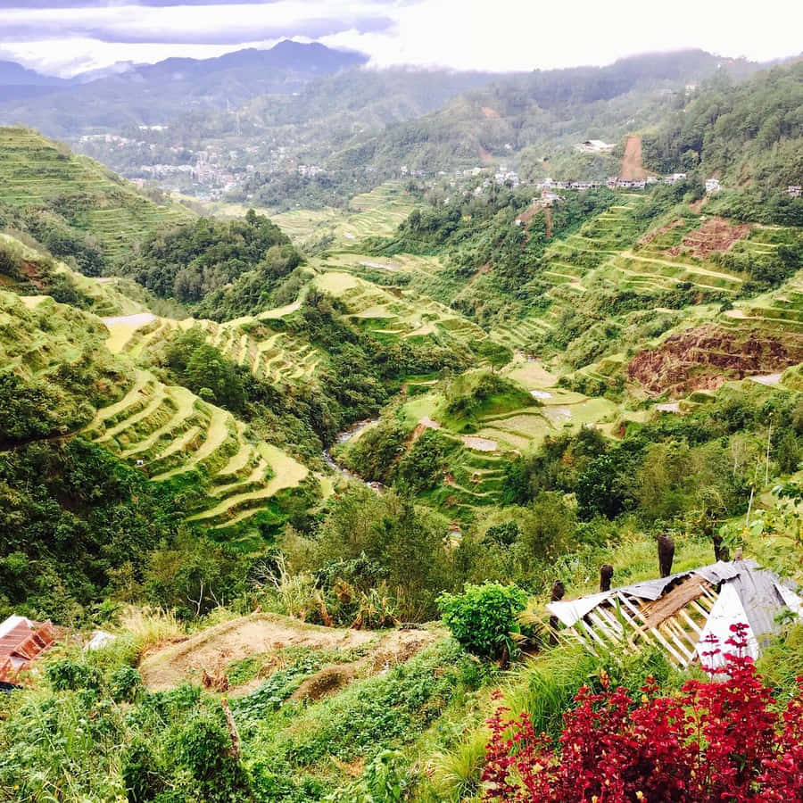 Breathtaking View Of The Historical Banaue Rice Terraces Wallpaper