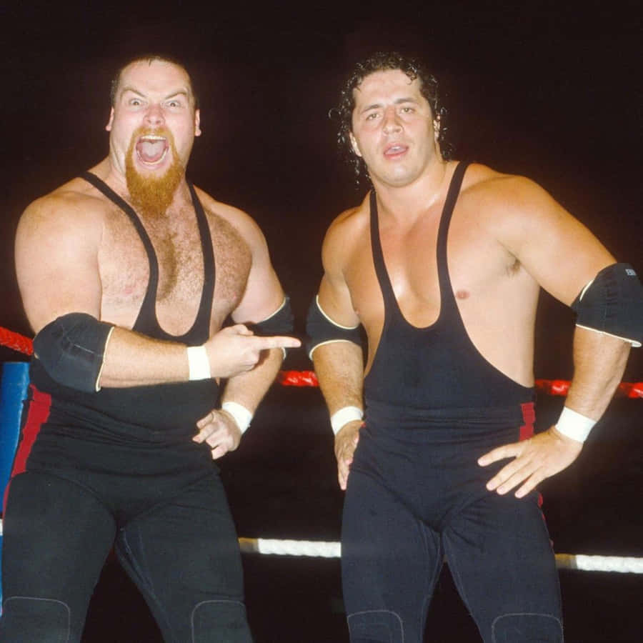 Bret Hart Jim Neidhart Funny Face Wallpaper