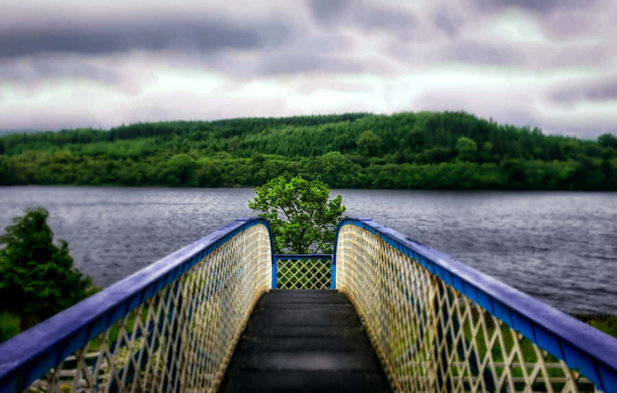 Bright, Colorful 4k Ultra Hd Hdr Display Wallpaper