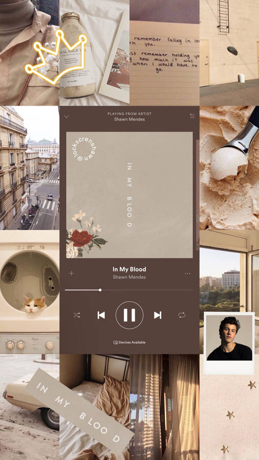 Brown Aesthetic Shawn Mendes Wallpaper