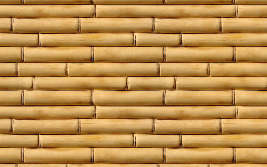 Brown Bamboo Hd Wallpaper