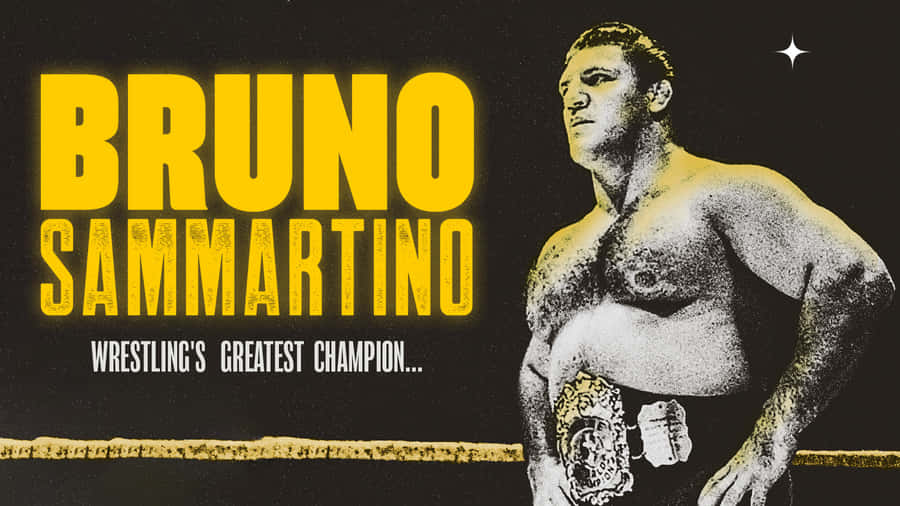 Bruno Sammartino Greatest Wrestling Champion Wallpaper