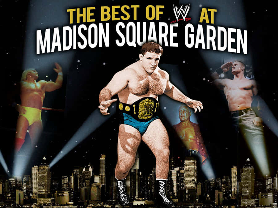 Bruno Sammartino Wwe Wrestling Legend Wallpaper