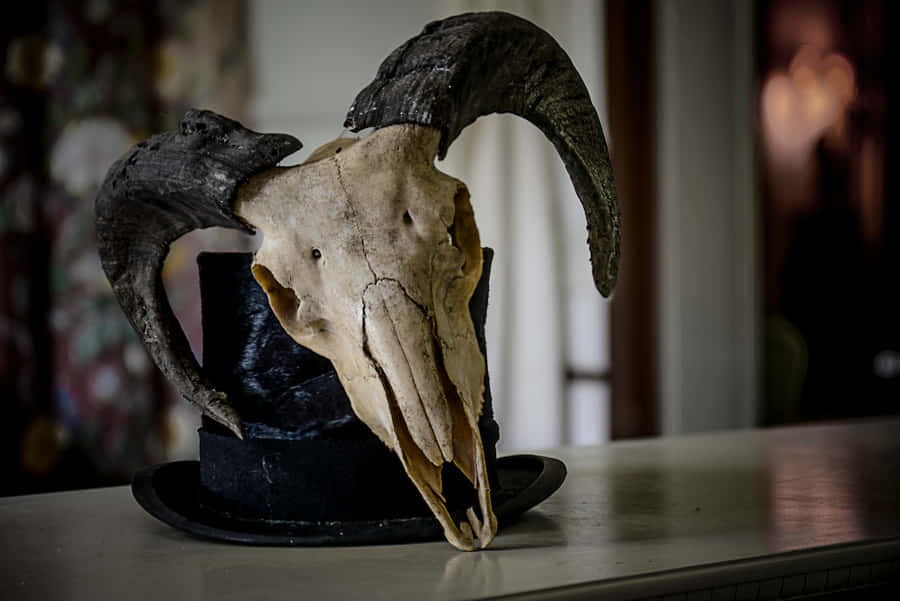 Bull Skull With Top Hat Wallpaper