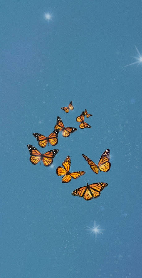 Butterfly Aesthetic Group Of Monarch Wallpaper
