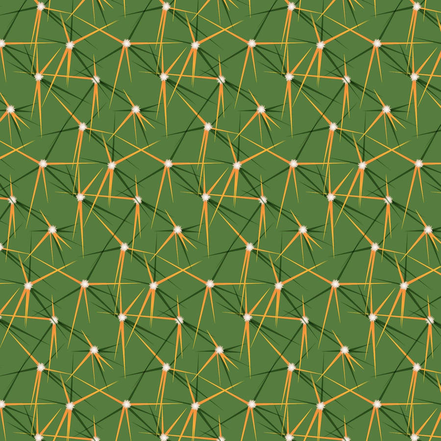 Cactus Covered In Spines And Ribs Wallpaper