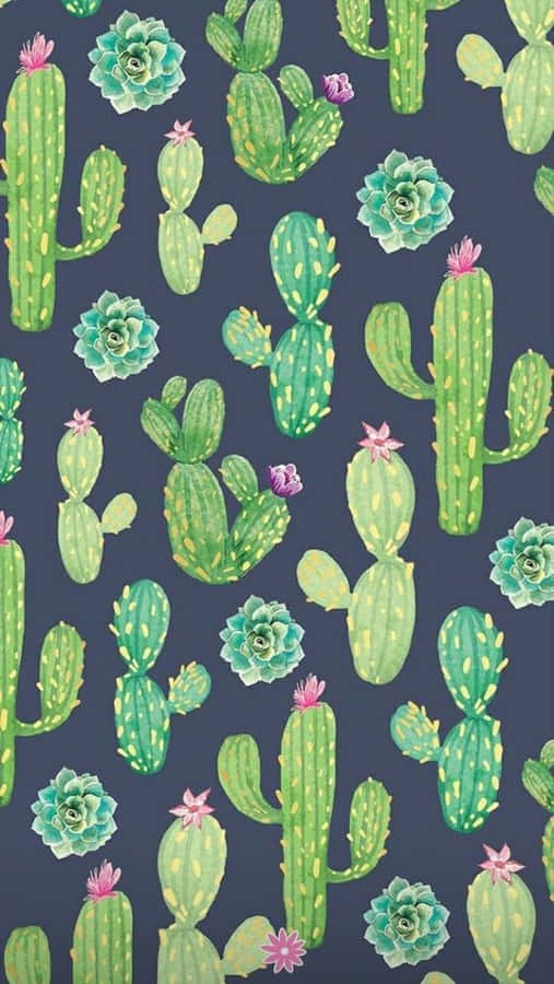 Cactus Iphone Drawing Wallpaper