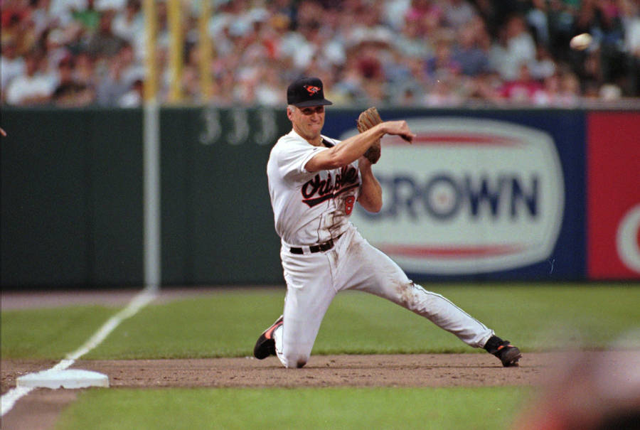 Cal Ripken Jr Kneeling Throw Wallpaper