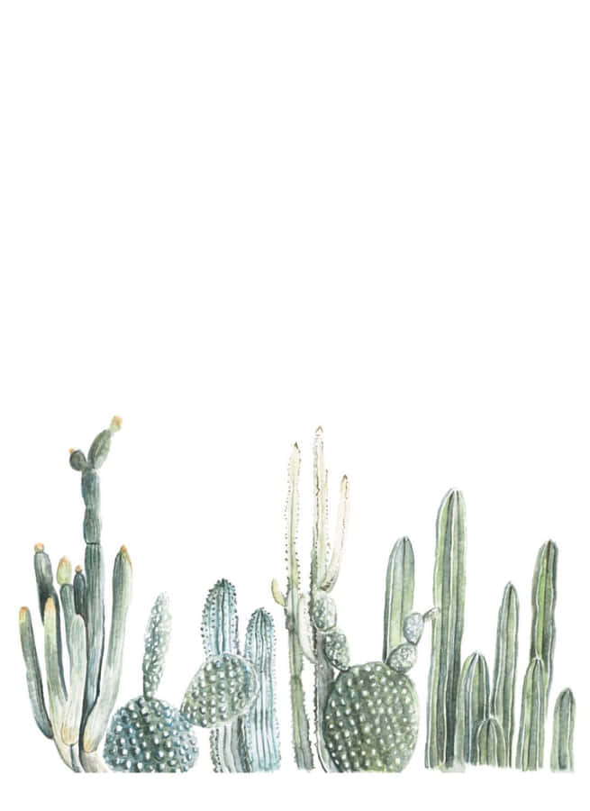 Caption: Captivating Beauty Of Aesthetic Cactus Wallpaper