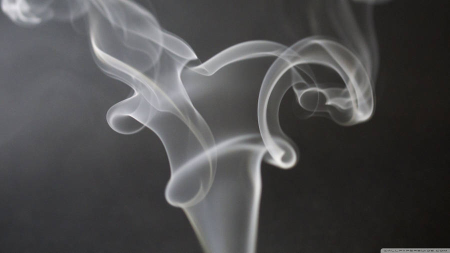 Caption: Captivating Swirls Of White Smoke Wallpaper