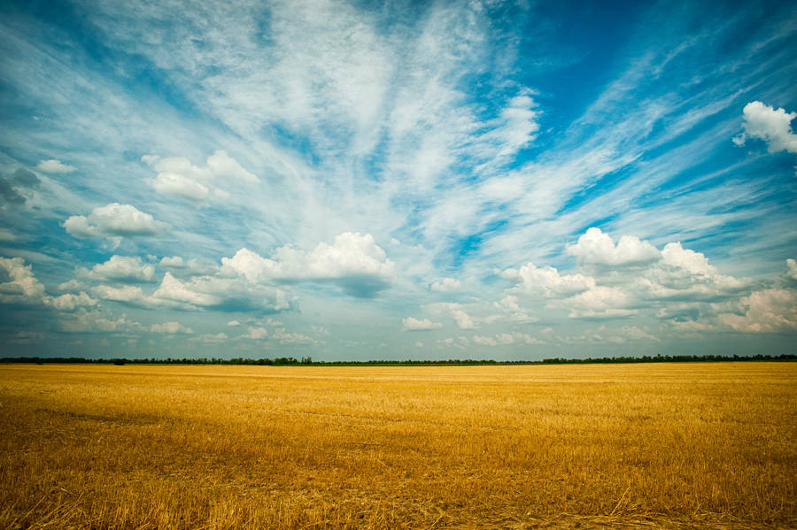 Caption: Heavenly Clouds In Vintage Aesthetic Wallpaper