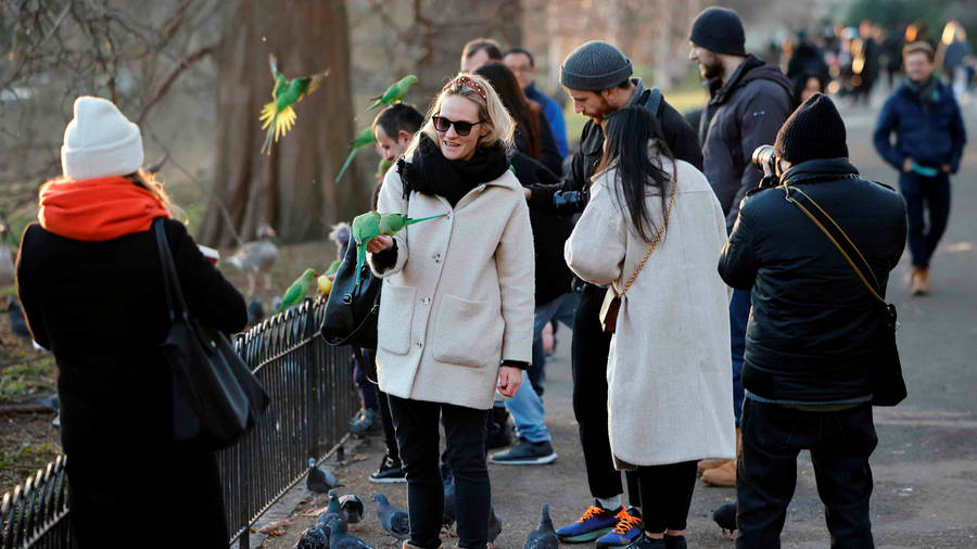 Caption: Immunization Is Our Armor - Covid-19 Vaccine Wallpaper