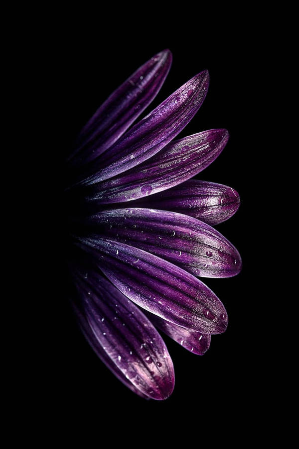 Caption: Magnificent Display Of Samsung Ultra 4k Television Wallpaper