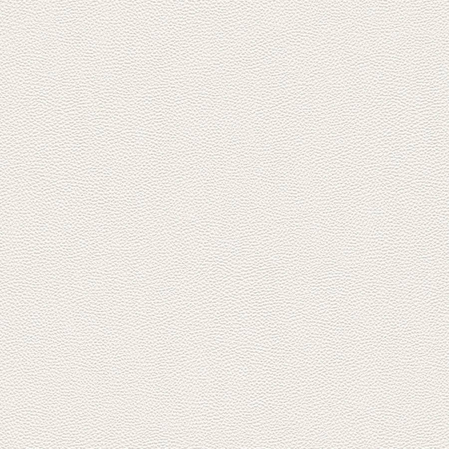Caption: Plain Beige Elegance Wallpaper