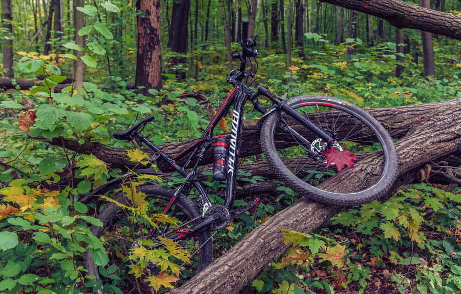 Caption: Racing The Trails With Specialized Mountain Bike Wallpaper